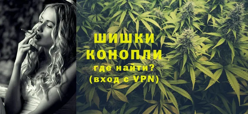 Шишки марихуана Amnesia  где найти наркотики  Бавлы 